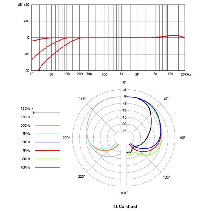 sE Electronics T1 心形指向电容麦克风
