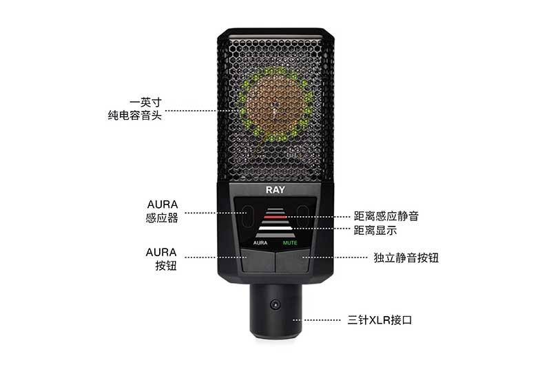 LEWITT RAY 麦克风