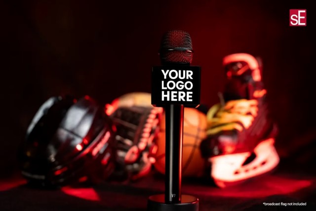 sE Electronics V7 ENG 超心形指向的手持动圈麦克风